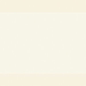 Marfil brillo biselado-7,5x15